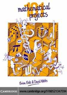دانلود کتاب 101 Mathematical Projects